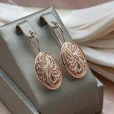 Boucles d'oreilles élégantes et brillantes | Or