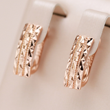 Boucles d'oreilles élégantes | Or